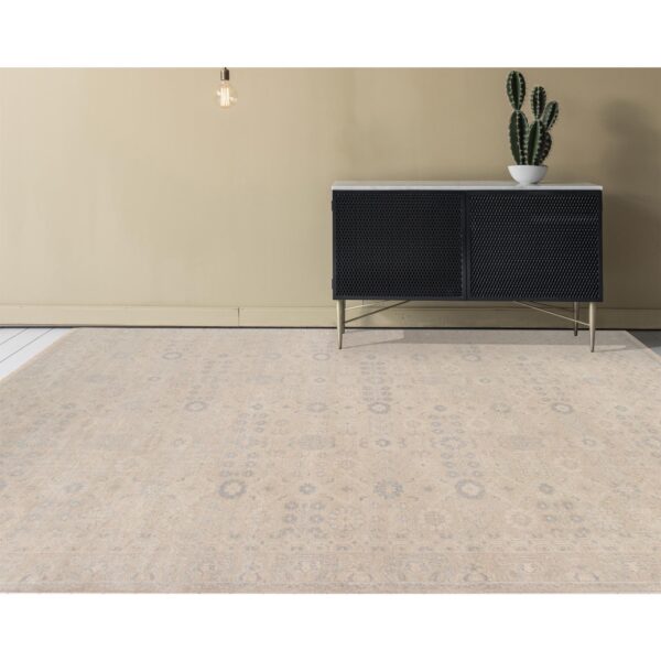 Amer Ainsley AIN-4 Gray Area Rug
